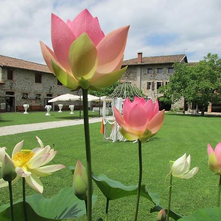 Agriturismo Il Vagabondo Villa Buttrio Eksteriør bilde