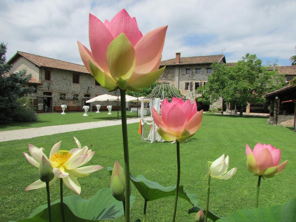 Agriturismo Il Vagabondo Villa Buttrio Eksteriør bilde